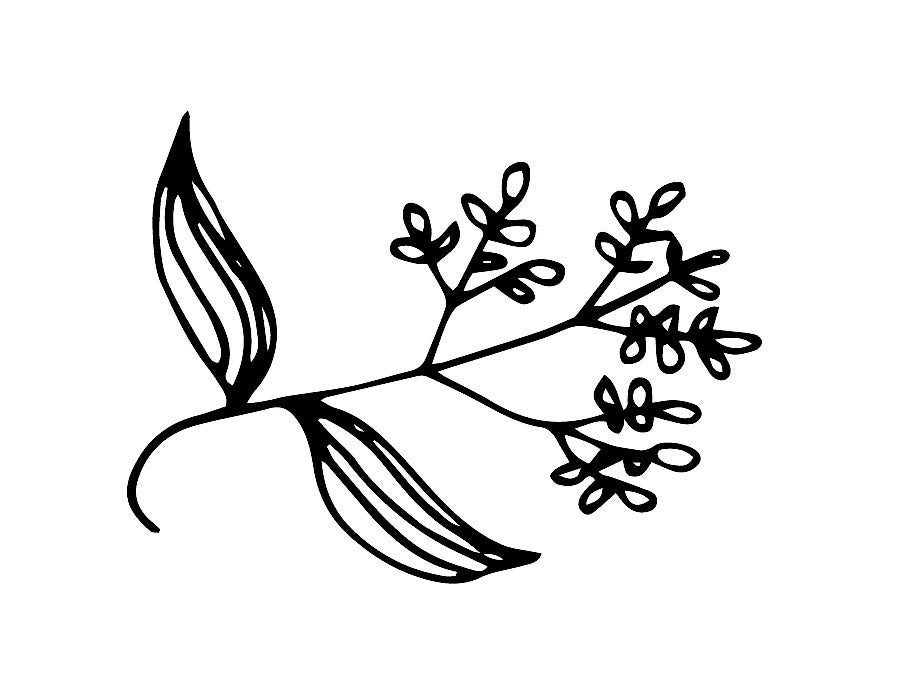 Common Source Healing Home